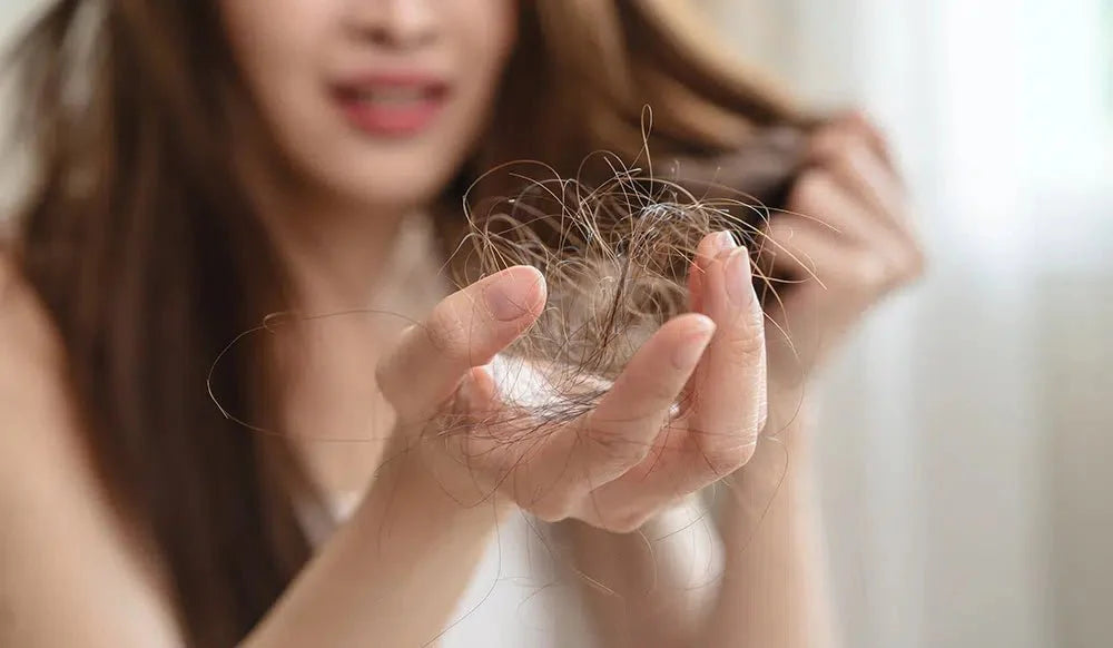 Why Is My Hair Breaking Off? The Real Causes of Hair Breakage (And How to Stop It) - Tasic Pure Oils