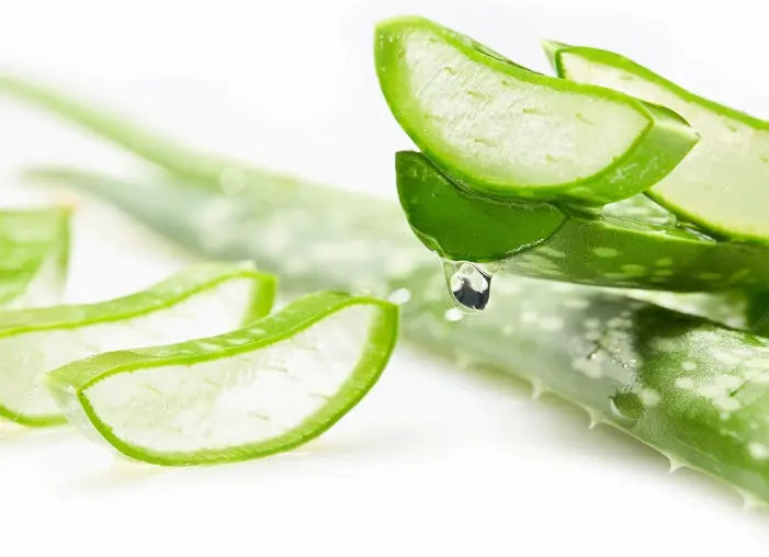 Sliced aloe vera leaves with a droplet on a white background