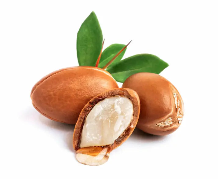 Argan nuts with one cut open to reveal the white flesh on a white background