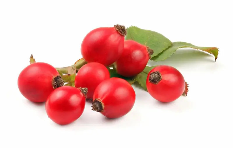 Red berries with green leaves on a white background